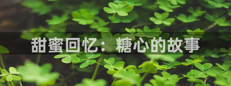 苦糖心vlog：甜蜜回忆：糖心的故事