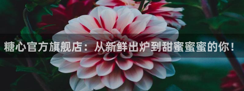 糖心vlog轻质量：糖心官方旗舰店：从新鲜出炉到甜蜜蜜蜜的你！