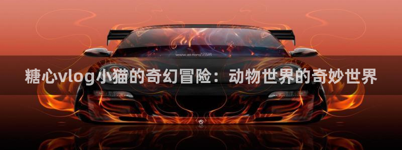 糖心vlog汉服小姐姐：糖心vlog小猫的奇幻冒险：动物世界的奇妙世界