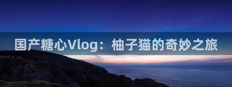 糖心vlog大巨