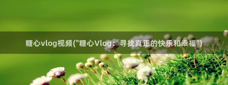 糖心vlog苹果商店