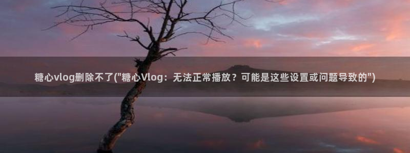 糖心vlog淘宝