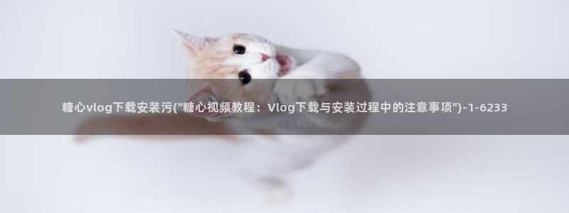 糖心个vlog