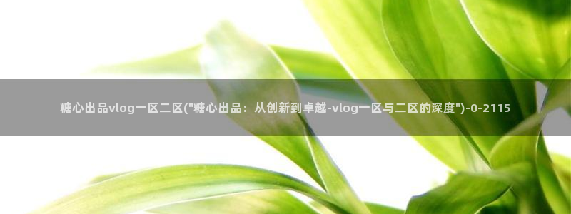 金善雅糖心vlog