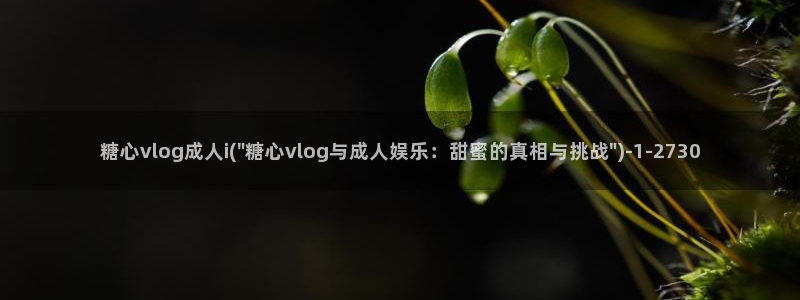 软件app糖心vlog：糖心vlog成人