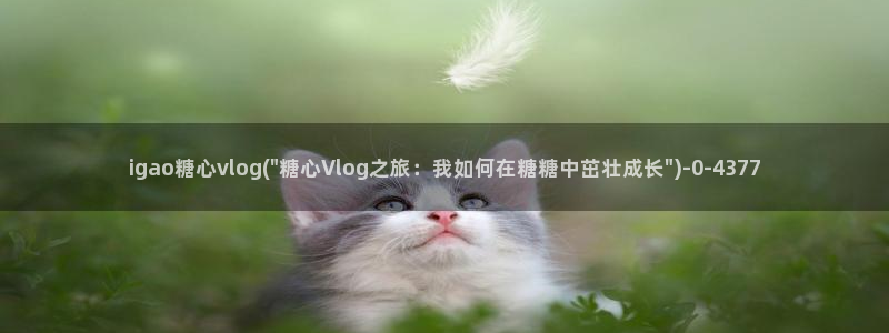 糖心vlog无法充值：igao糖心vlo