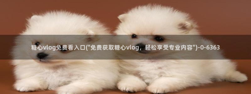 糖心vlog家教老师