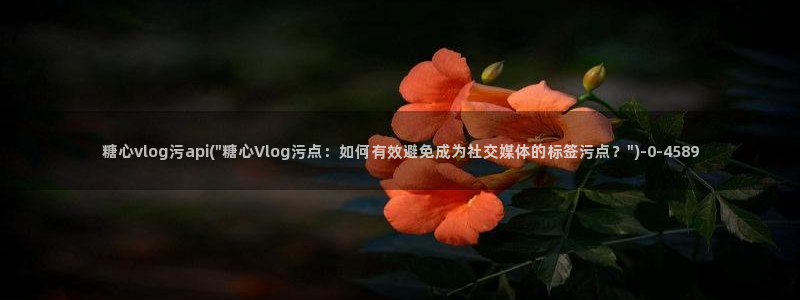 成人糖心vlog的id