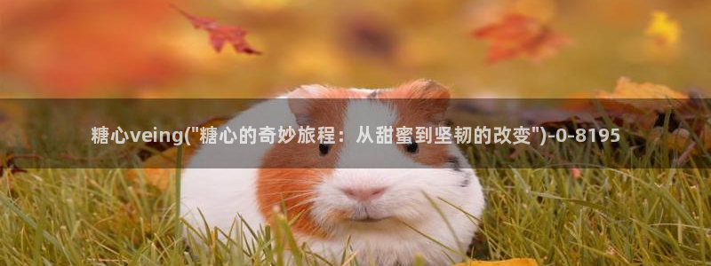 糖心vlog精产国品免：糖心veing(\