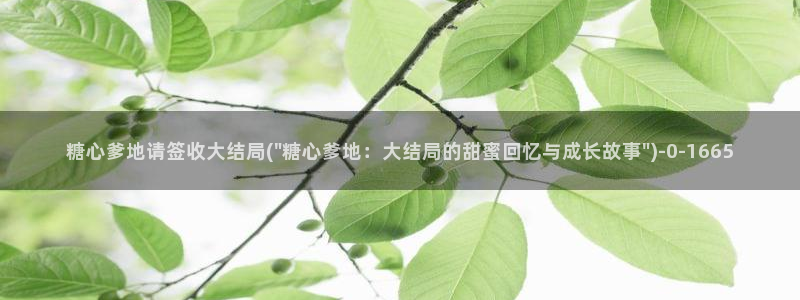 糖心vlog视频在线：糖心爹地请签收大结局(\
