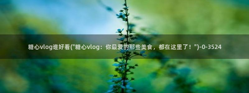 糖心vlog官方在线观看：糖心vlog谁好看(\