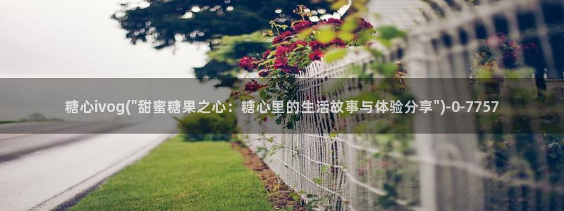 糖心vlog日常