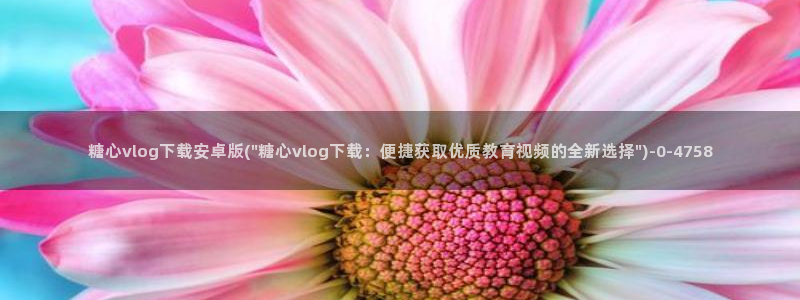 糖心vlog啊啊啊