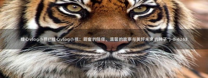 糖心vlog官网破解版：糖心vlog小桃(\