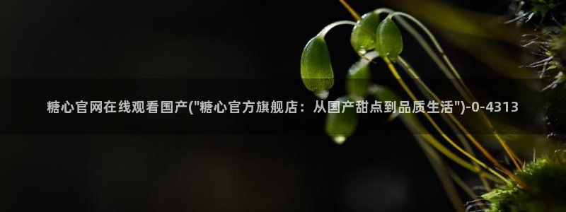 糖心vlog免费看：糖心官网在线观看国产(\